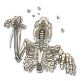 Skeleton Bob / By OsmerOmar