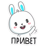 rabbit_vk-160x160.png