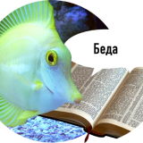 Рыбы пытаются читать