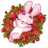 Rosy Bunny